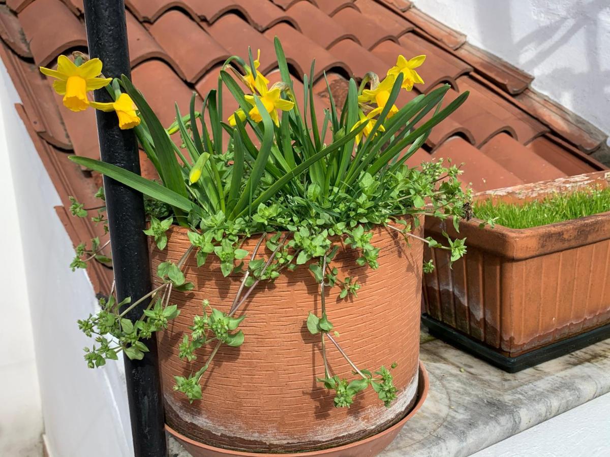 Rooftop Terrace Domus Dei Fabbri Venice Exterior photo